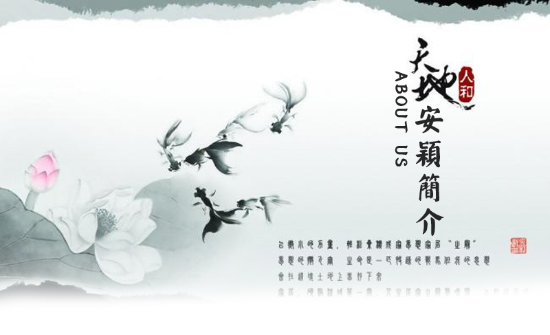 安穎簡(jiǎn)介